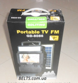 Солнечная система с телевизором TV FM GDLite GD-8086 (станция ТВ ФМ 8086)