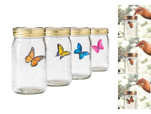 Бабочка в банке Butterfly in Jar E-Butterfly, Киев