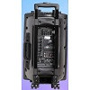 Аккумуляторная колонка с усилителем Temeisheng DP-297F