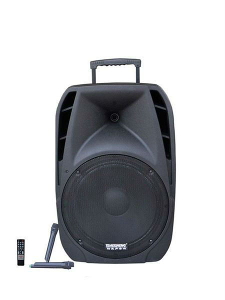TEMEISHENG A18S Колонка с Bluetooth и 2 микрофонами