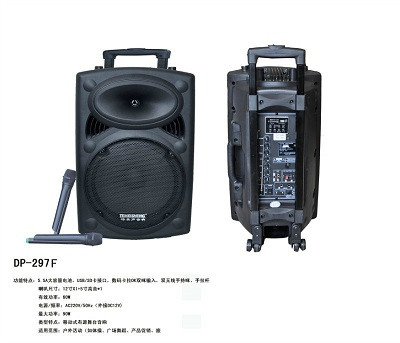 Аккумуляторная колонка Temeisheng DP-297F