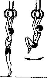 Кольца для гимнастики (гимнастические, для взрослых (gymnastic rings)