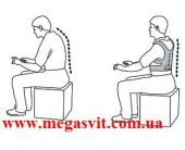 Магнитный корсет Емсон, Power Magnetic Posture Support EMSON