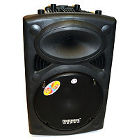 Temeisheng DP-297F аккумуляторная колонка с усилителем