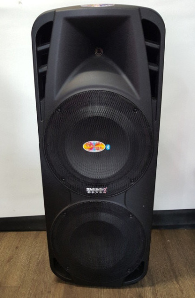Аккумуляторная профессиональная колонка Temeisheng A-86 c bluetooth