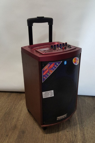 Temeisheng A -71 колонка аккумуляторная с Bluetooth