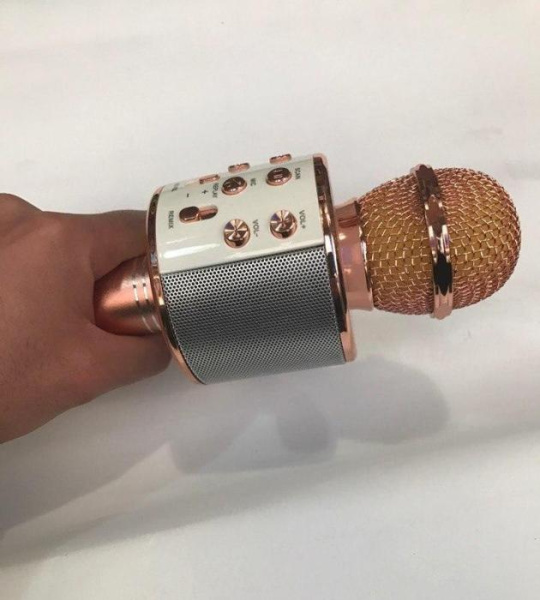 Беспроводной микрофон караоке WSTER WS - 858 microSD FM радио Wireles mickrophone HIFI speaker