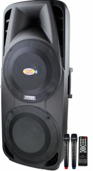 Профессиональная аккумуляторная колонка Temeisheng A-86 c bluetooth