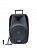 TEMEISHENG A18S Колонка с Bluetooth и 2 микрофонами